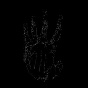 Meet your Posher, Miguel